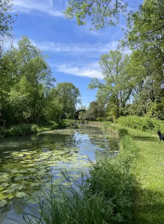 Les marais à découvrir